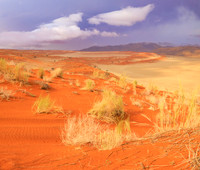 Namib Rand Preserve