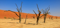 Deadvlei
