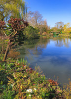 Monet's Gardens at Giverney