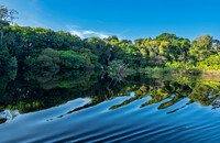 Amazon Rain Forest