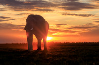 Botswana