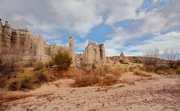 White Cliffs, New Mexico, a favorite spot for Georgia O'Keefe