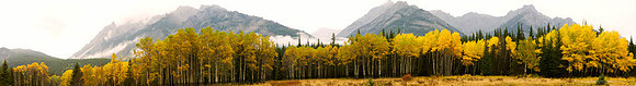 Fall in the Canadian Rockies, Jasper Park, Canada