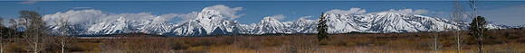 Spring at Grand Teton Park, Wyoming